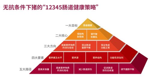 上海美農(nóng)2021提升飼料產(chǎn)品競爭力技術(shù)研討會山東站圓滿落幕