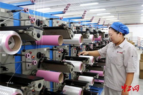 連云港外貿(mào)企業(yè)“雙輪驅(qū)動(dòng)” 搶訂單與強(qiáng)技術(shù)并行，開(kāi)拓出海新航道